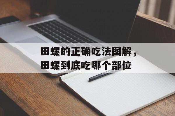田螺的正确吃法图解，田螺到底吃哪个部位-第1张图片-