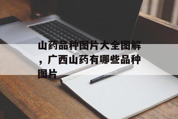 山药品种图片大全图解，广西山药有哪些品种图片-第1张图片-