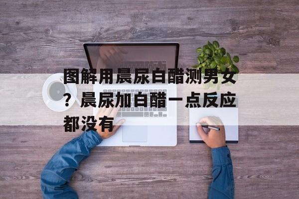 图解用晨尿白醋测男女？晨尿加白醋一点反应都没有-第1张图片-
