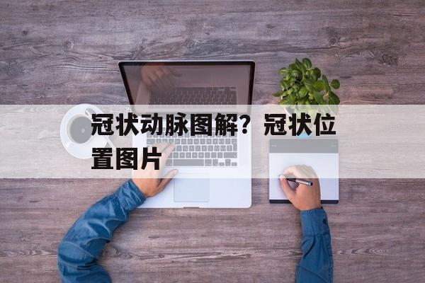 冠状动脉图解？冠状位置图片-第1张图片-