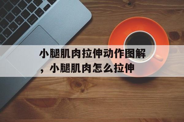 小腿肌肉拉伸动作图解，小腿肌肉怎么拉伸-第1张图片-