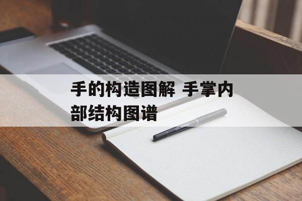 手的构造图解 手掌内部结构图谱-第1张图片-