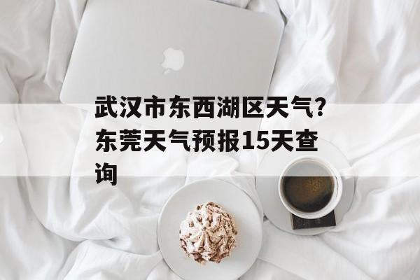 武汉市东西湖区天气？东莞天气预报15天查询-第1张图片-