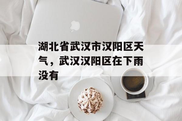 湖北省武汉市汉阳区天气，武汉汉阳区在下雨没有-第1张图片-
