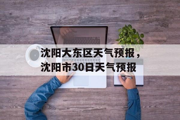 沈阳大东区天气预报，沈阳市30日天气预报-第1张图片-