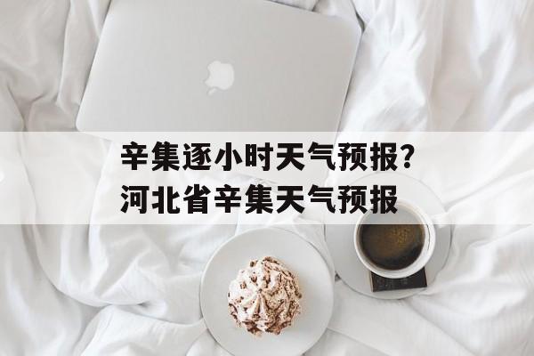 辛集逐小时天气预报？河北省辛集天气预报-第1张图片-