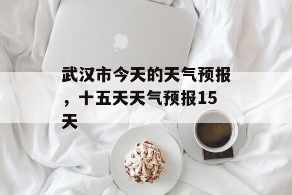 武汉市今天的天气预报，十五天天气预报15天-第1张图片-