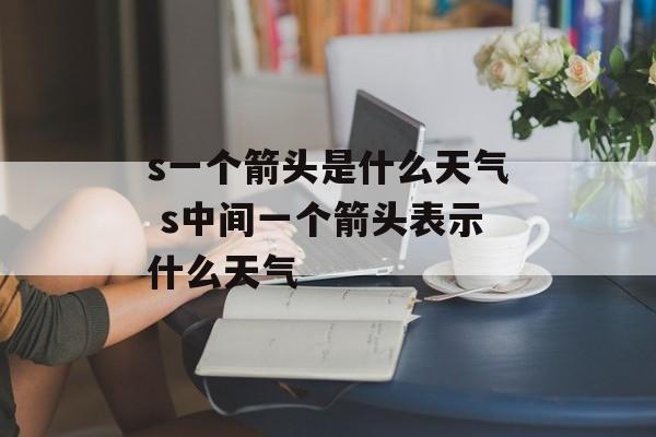 s一个箭头是什么天气 s中间一个箭头表示什么天气-第1张图片-