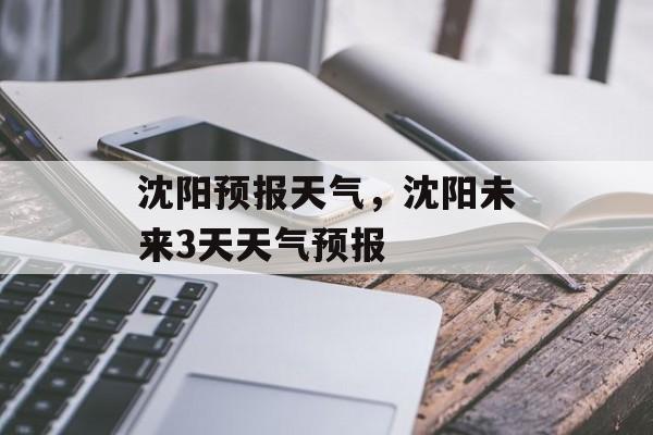 沈阳预报天气，沈阳未来3天天气预报-第1张图片-