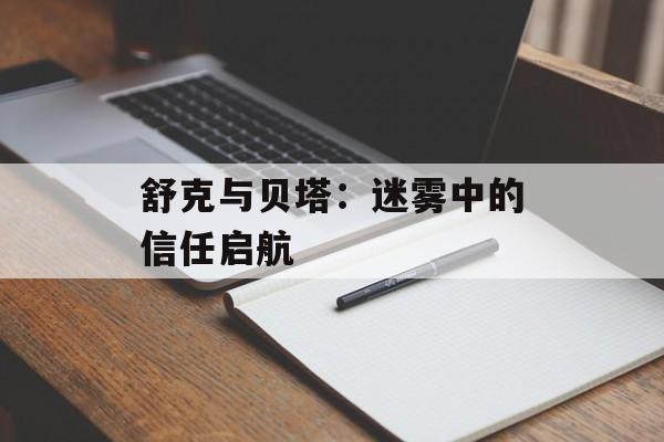 舒克与贝塔：迷雾中的信任启航-第1张图片-