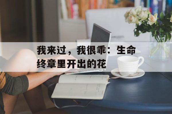 我来过，我很乖：生命终章里开出的花-第1张图片-