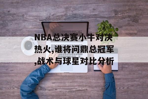 NBA总决赛小牛对决热火,谁将问鼎总冠军,战术与球星对比分析-第1张图片-