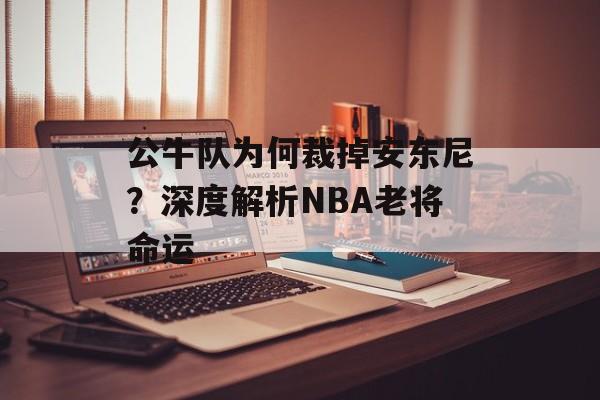 公牛队为何裁掉安东尼？深度解析NBA老将命运-第1张图片-
