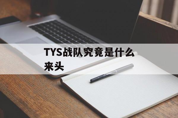TYS战队究竟是什么来头-第1张图片-
